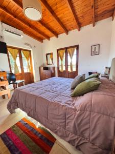 a bedroom with a large bed with pillows on it at Amaru Apart in Cafayate