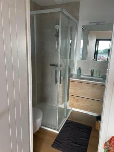 a bathroom with a shower and a toilet and a sink at Appartement bord de mer in Lampaul-Plouarzel