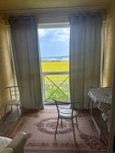 a room with a window with two chairs and a table at Guest House Bed and Birding in Durankulak