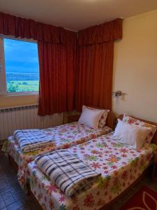 a bedroom with two beds in front of a window at Guest House Bed and Birding in Durankulak +15 photos