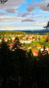 a view of a town with trees in the foreground at Villa Góralka in Polanica-Zdrój