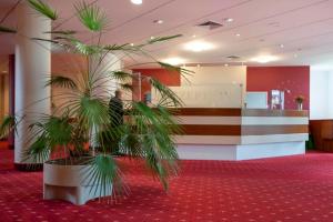 a lobby with palm trees in the middle of a room at Parkwohnstift Bad Kissingen in Bad Kissingen