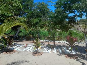a garden with palm trees and rocks in the sand at Hostel Rústico in Barreirinhas