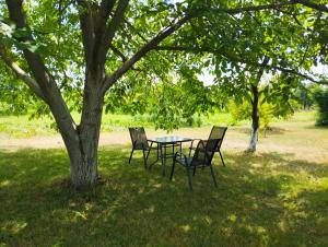 a table and chairs under a tree in a park at Blossom Cottage - ''Green Energy"' in Laktaši