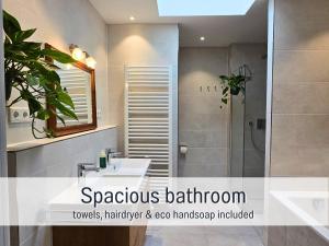 a bathroom with a sink and a shower and a mirror at Baham-Apartment Nuernberg - including hot tub, sauna, massage chair, roof terrace, barbecue - metro 15 min, exhibition center 8 min walk in Nuremberg +66 photos