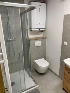 a bathroom with a shower and a toilet and a sink at Apartament przy plaży in Zbąszyń