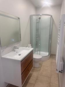 a bathroom with a sink and a shower and a toilet at Le petit rêve in Fours