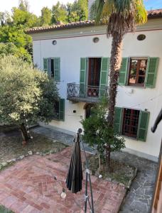 an umbrella in front of a house with a palm tree at Mulimù - Guesthouse in Montecalvo Versiggia +21 photos