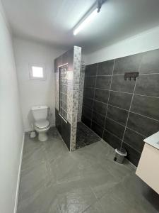 a bathroom with a shower and a toilet in it at Le Petit Pêcheur in Étang-Salé