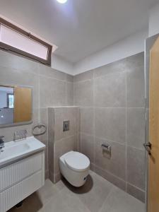 a bathroom with a toilet and a sink at Suite Ania in Imejoudene