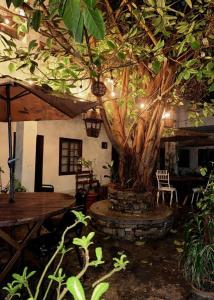 a room with a tree and a table and a bench at Hotel Puerta de Jade in Ciudad Valles