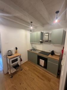 a kitchen with green cabinets and a counter top at Rovetta Tre Piazze Apartments in Brescia +15 photos