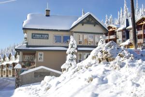 a house with a pile of snow in front of it at Tree Tops 15 in Big White