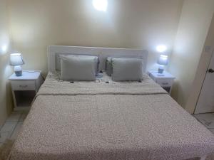 a bedroom with a large bed with two night stands at Country Green in La Feuillet