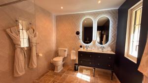 a bathroom with a toilet and a sink and mirrors at Moulin Royale in Saint-Etienne-Roilaye