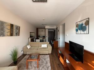 a living room with a couch and a tv at Nautica Residence in Balatonfüred