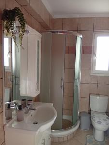 a bathroom with a shower and a sink and a toilet at Amentas Luxury Apartments in Vrontádos