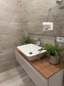 a bathroom with a sink and two potted plants at Tirana Lake Bliss Apartment in Sauk +13 photos