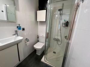a bathroom with a shower and a toilet and a sink at Atico en el centro de Vitoria Parking gratis in Vitoria-Gasteiz +45 photos