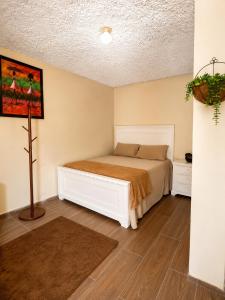 a bedroom with a bed in a room at Hotel restaurant bon Appetit in Santa Cruz de Barahona