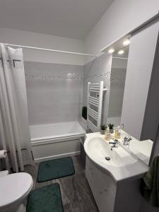 a bathroom with a sink and a tub and a toilet at Sunset Villa Balatonfenyves in Balatonfenyves +9 photos