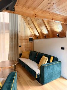 a living room with a green couch and a table at Alvearium Chalets in Žabljak