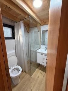 a bathroom with a toilet and a shower and a sink at Alvearium Chalets in Žabljak +13 photos