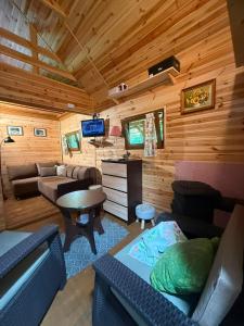 a living room with a couch and a tv in a cabin at Cottage with access to the lake in Tarnów Jezierny