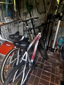 two bikes parked next to each other in a garage at Cottage with access to the lake in Tarnów Jezierny