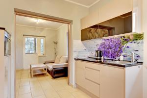 a kitchen with a sink and a counter top at Villa Arkodes in Gdańsk