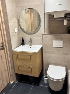 a bathroom with a sink and a toilet and a mirror at Le Cocon Bohème, appartement chaleureux in Sarrebourg