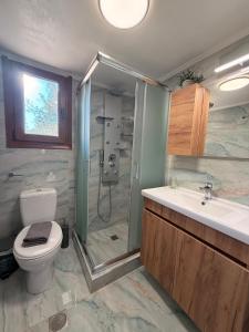 a bathroom with a shower and a toilet and a sink at Terra Kampos Chios in Chios +18 photos