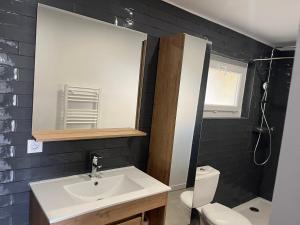 a bathroom with a sink and a toilet and a mirror at Le studio signature in Vedène