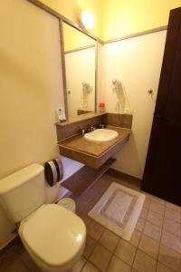 uma casa de banho com um WC, um lavatório e um espelho. em Pousada Vivenda do Flamboyant em Ubatuba