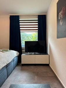 a bedroom with a bed and a television in a window at Kontinental C in Bad Harzburg