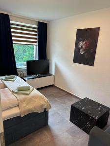 a bedroom with a bed and a tv and a window at Kontinental C in Bad Harzburg +10 photos