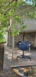 a blue chair is tied to a tree at arrayanes in Junín