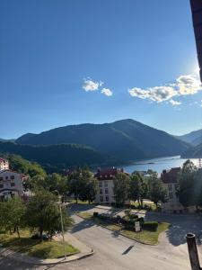 a view of a town with a lake and mountains at Apartment Melina in Plužine