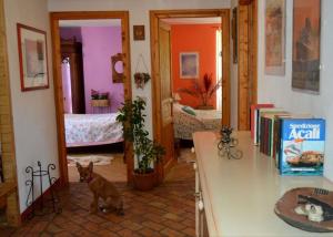 a dog is standing in a room with a kitchen at Casa del Zefiro in Sistiana