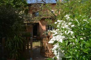 a garden with white flowers in front of a house at Casa del Zefiro in Sistiana