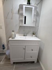 a bathroom with a white sink and a mirror at Serenity Garden Studio with Pool in Naples +11 photos