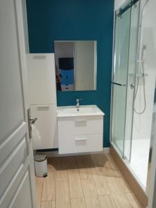a bathroom with a sink and a shower and a mirror at Studio à louer in Vic-Fezensac