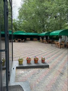 a patio with potted plants and tables and green umbrellas at Inju in Temirtaū