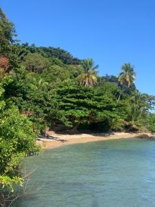 a beach with palm trees on a tropical island at Domingas in Ilha de Boipeba +8 photos