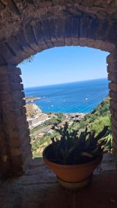 a plant in a pot in a window with the ocean at Villa daniela in Taormina