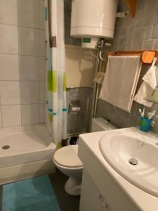 a bathroom with a sink and a toilet and a shower at Location duplex ,Station du Seignus d'Allos in Allos