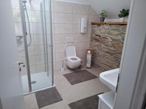 a bathroom with a shower and a toilet and a sink at EifelAuszeit in Simmerath +3 photos