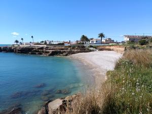 a sandy beach with palm trees and the ocean at Casa Cristina in Vinarós