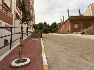 an empty street with a tree on the side of a building at Talia in Bejaïa