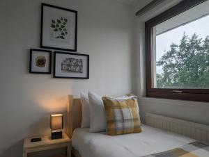a bedroom with a window and a bed with a pillow at Black Sheep Bunkhouse in Fort William